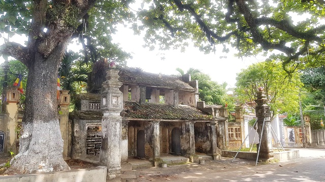 Ngôi chùa cổ có 2 cây di sản đầu tiên ở Ninh Bình