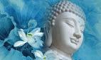 Nhân mùa Phật đản: Tìm hiểu về giáo lý, giáo điều căn bản của đạo Phật